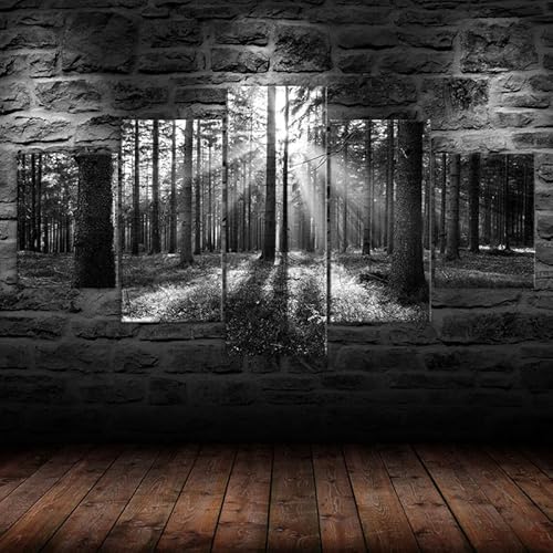 HJDGLP Wandbild xxl bilder leinwand groß,the wall wanddeko wohnzimmer schlafzimmer home decoration,5 Teilig bild auf leinwand poster set Schwarz-Weiß-Waldbäume Sonnenstrahlen Szene 200x100cm von HJDGLP