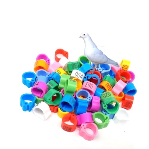 HJHLYJQBF Taubenkäine African Grey Parrot Multi-Color-Clip-Entenfuß-Fuß-Fuß-Fußring für Dachboden Taubengürtel Taube Wachtelkunststoff (gemischte Farben 001-1000) Mixed Color 901-1000 20mm(0.79in) von HJHLYJQBF