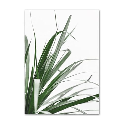 HJOSWVNS Wandbilder Gras Grün Weiß Foto Auf Leinwand Aesthetic Decor Bild Auf Leinwand Bilder Wohnzimmer Leinwand Bilder Wandbilder Wandtattoo Schlafzimmer Badezimmer Room Decor Kein Rahmen 30x40cm von HJOSWVNS