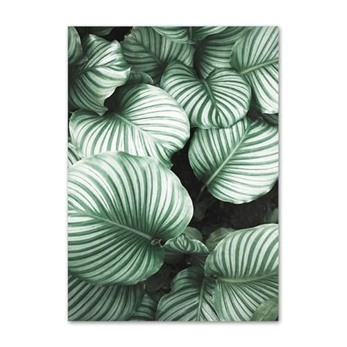 HJOSWVNS Wandbilder Palmblatt-Druck Foto Auf Leinwand Aesthetic Decor Bild Auf Leinwand Bilder Wohnzimmer Leinwand Bilder Wandbilder Wandtattoo Schlafzimmer Badezimmer Room Decor Kein Rahmen 40x60cm HJOSWVNS Wandbilder Palmblatt-Druck Foto Auf Leinwand Aesthetic Decor Bild Auf Leinwand Bilder Wohnzimmer Leinwand Bilder Wandbilder Wandtattoo Schlafzimmer Badezimmer Room Decor Kein Rahmen 40x60cm von HJOSWVNS