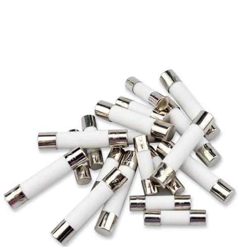 10 stück 5 * 20mm 6 * 30mm Flinke Rohrsicherungen mm 250 V 100MA 200MA 300MA 8A 10A 12A 15A 20A 25A 30A Sicherung Keramiksicherung(2.5A,6X30MM_20 PCS) von HJQFVASQ