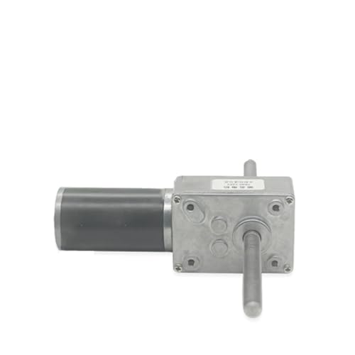 5840-31ZY M8 * 72MM Doppelausgangsschraubenwelle Doppelachsen-Gleichstrommotor mit Flanschen 12 V 24 V 12–470 U/min Schneckengetriebemotor-Schraubenheber(24V,80RPM_DIFFERENT DIRECTION) von HJQFVASQ