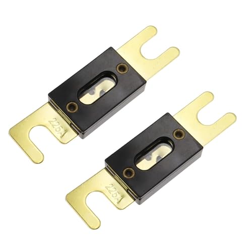 Sicherungshalter Anschraubsicherung Kfz-Sicherungshalter Schmelzsicherung mit Sicherung 40A 60A 80A 100A 200A 250A 300A Sicherungen(2PC Fuse,60A) von HJQFVASQ