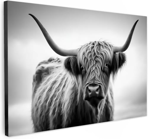HJYTTX Hochlandrind Wandkunst, Schwarz Weiß Leinwand Bild, Wanddeko Wohnzimmer Aesthetic Room Decor Deko Zimmer Wandbilder Modern Gemälde Wandbild Schottisches Hochlandrind mit Rahmen, 40x60cm von HJYTTX