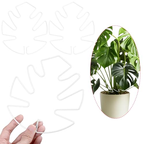 HJZHII 3 Stück 16 x 18 cm Monstera Rankhilfe, Rankhilfe Monstera Metall-Monstera-Pflanzenstütze Pflanzenstützstäbe Pflanzenstammstütze einzigartiges Design für Kletterpflanzen(Weiß) von HJZHII