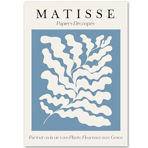 HKAHF AJWUQ Matisse Poster Matisse Drucke Korallenblatt Wandkunst Matisse Leinwand Gemälde Nordisches Bild für Wohnzimmer Dekoration 30x40cmx1 Kein Rahmen von HKAHF AJWUQ