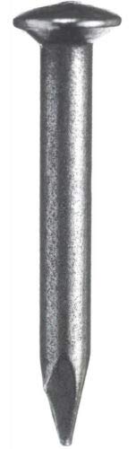 HKB® 100 Stück Stahl Nägel Bildernägel Maße: 2,0 x 30 mm, Material: Stahl gehärtet, gebläut, Stahlnagel von HKB