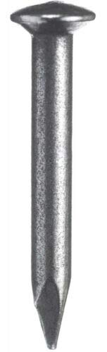W 212 // HKB Stahlnagel 3,0 x 30 mm Linsenkopf blank, 100 Stück im Polybeutel W 212 // HKB Stahlnagel 3,0 x 30 mm Linsenkopf blank, 100 Stück im Polybeutel von HKB