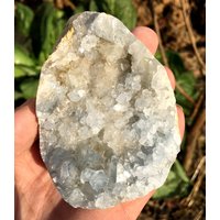 Celestit/Geode Blauer Gedode Kristall von HKFossiltown
