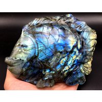Hand Geschnitzt Labradorit Fisch /Shiny Poliert Schmuck/Chakra Reiki/Home Decor/Sammlerstücke 1405 G - Lc43 von HKFossiltown