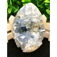 Natürliche Große Natürliche Celestit Geode-Ei-Form/Large Kristall Quarz Cluster Ornament/Blau Probe 787G #ljd4 von HKFossiltown