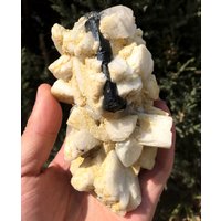 Roher Schwarzer Turmalin Stein + Calcit Weißer Kristall/Quarz Mineral von HKFossiltown