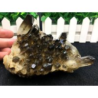 Top Große Rohe Gelbe Kristallstufe/Rauchkristallstufe Quarzstufe Raue Schwarze Kristallplatte-590G von HKFossiltown