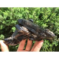 Top Große Rohe Kristallmoglymobe Cluster/Black Quartz Cluster/Quartz Cluster/Rough Black Agrot Crystal Plate/Healing Crystal/Energy von HKFossiltown