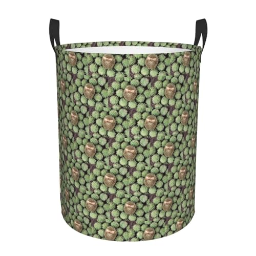 Bequemer runder Aufbewahrungskorb mit Igel-Kaktusdruck, stehender Aufbewahrungskorb, schmutziger Wäschekorb, mehrere Räume Bequemer runder Aufbewahrungskorb mit Igel-Kaktusdruck, stehender Aufbewahrungskorb, schmutziger Wäschekorb, mehrere Räume von HKHLHLH