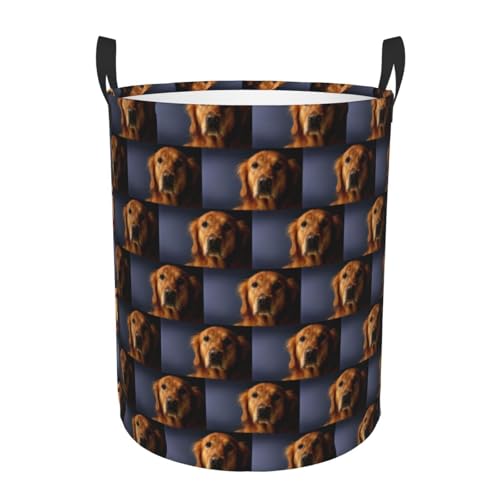 Golden Retriever1 bedruckter bequemer, runder Wäschekorb, stehender Aufbewahrungskorb, schmutziger Wäschekorb, Mehrraum-Aufbewahrungslösung Golden Retriever1 bedruckter bequemer, runder Wäschekorb, stehender Aufbewahrungskorb, schmutziger Wäschekorb, Mehrraum-Aufbewahrungslösung von HKHLHLH