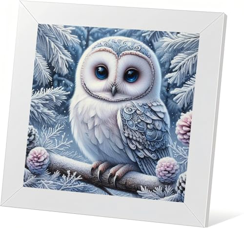 HKLIOPU Diamond Painting Erwachsene, Diamant Painting Bilder Tier Eule Geschenk Für Mama Und Kinder,Zur Entspannung und Als Wanddeko 30x30cm HKLIOPU Diamond Painting Erwachsene, Diamant Painting Bilder Tier Eule Geschenk Für Mama Und Kinder,Zur Entspannung und Als Wanddeko 30x30cm von HKLIOPU