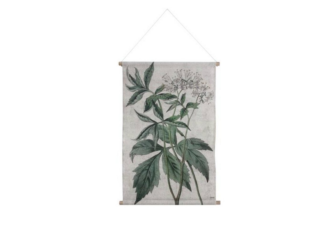 HKLiving Wandbild HKliving Wall Chart: Botanical L von HKLiving