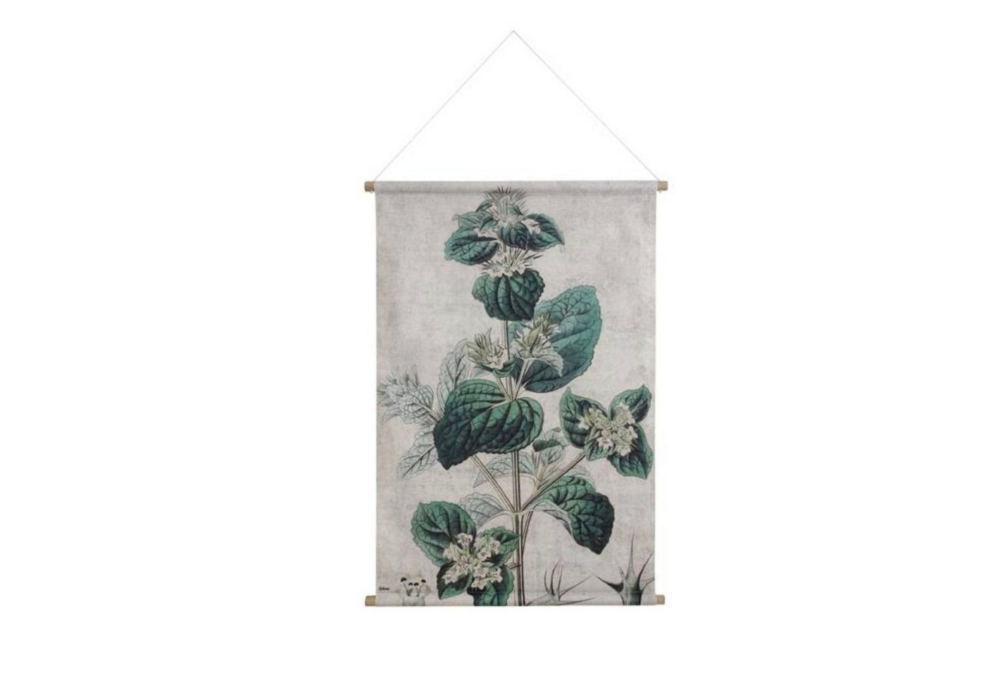 HKLiving Wandbild HKliving Wall Chart: Botanical XL von HKLiving