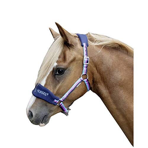 HKM 9224 Halfter Funny Horses, Pferdehalfter Stallhalfter Weidehalfter MS Shetty HKM 9224 Halfter Funny Horses, Pferdehalfter Stallhalfter Weidehalfter MS Shetty von HKM