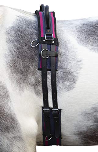 HKM Longiergurt Canvas mit Doppelgriff (Pony, Navy/Passion pink) von HKM