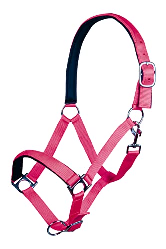 HKM 4000315715695 Halfter -Stars Softice- Weich Unterlegt3900 Pinkpony von HKM