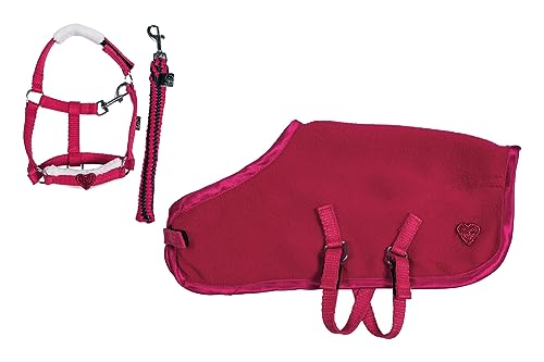 HKM Cuddle Pony Starterset Rot Einheitsgröße HKM Cuddle Pony Starterset Rot Einheitsgröße von HKM