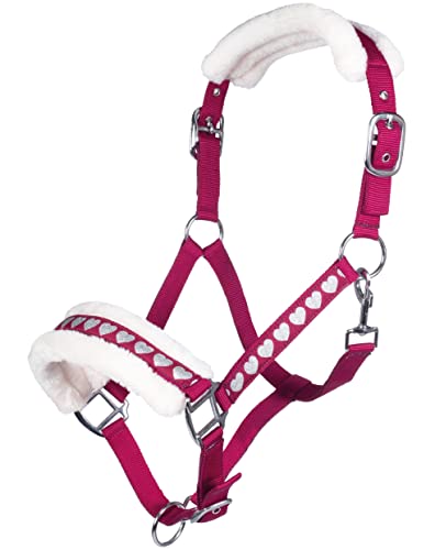 HKM Sweet Valentine Halfter 3971 Pink/Silber Vollblut von HKM