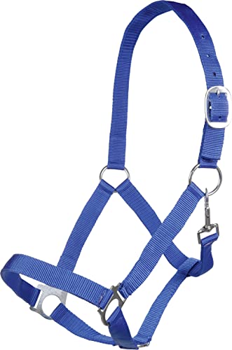 Posten 10978 Brisbane Halfter royalblau Warmblut Posten 10978 Brisbane Halfter royalblau Warmblut von HKM