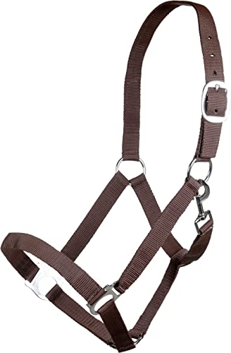 Posten Brisbane Halfter dunkelbraun Warmblut Posten Brisbane Halfter dunkelbraun Warmblut von HKM