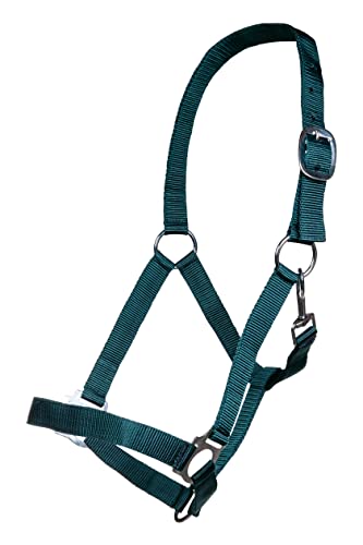 Posten Brisbane Halfter dunkelgrün Pony Posten Brisbane Halfter dunkelgrün Pony von HKM