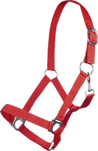 Posten Brisbane Halfter rot Vollblut Posten Brisbane Halfter rot Vollblut von HKM