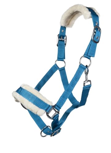 Posten Halfter-11796 türkis Warmblut Posten Halfter-11796 türkis Warmblut von HKM