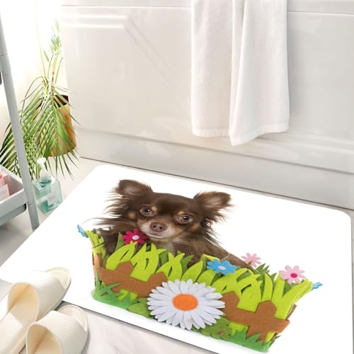 HKPOEQ Badematte Weiche Badteppich rutschfest Badzimmermatte Teppich Badezimmerteppich Duschmatte & Schlafzimmer,Junge Langhaar Chihuahua Welpen Hund reinrassige Box Tiere Blume wenig in der,50x80 cm von HKPOEQ