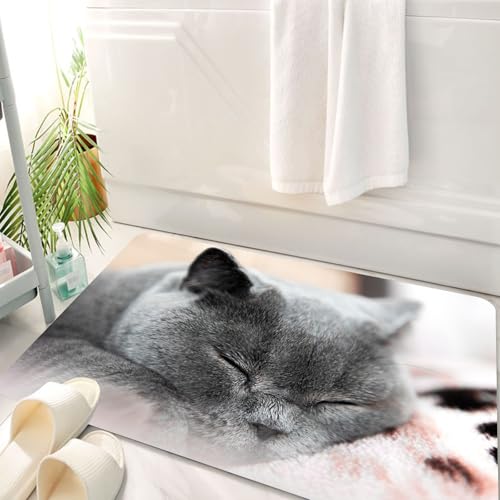 HKPOEQ Badematte Weiche Badteppich rutschfest Badzimmermatte Teppich Badezimmerteppich Duschmatte & Schlafzimmer,Reinrassige Britisch Kurzhaarkatze schläft auf dem Bett,50x80 cm von HKPOEQ