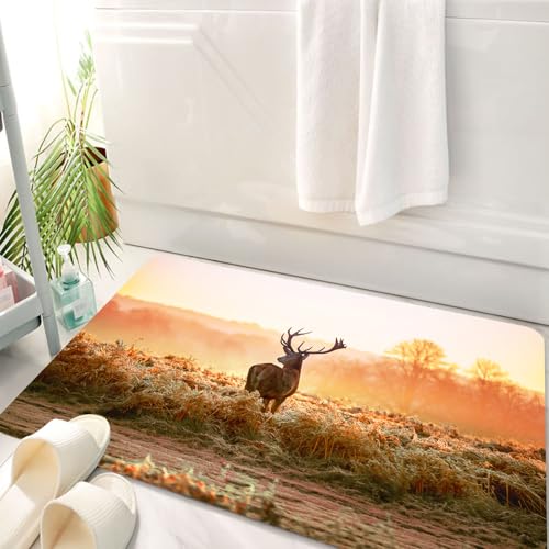 HKPOEQ Badematte Weiche Badteppich rutschfest Badzimmermatte Teppich Badezimmerteppich Duschmatte & Schlafzimmer,Rothirsch in der Morgensonne Natur Wilde Landschaft Ländlichen Feld Heathers,50x80 cm von HKPOEQ