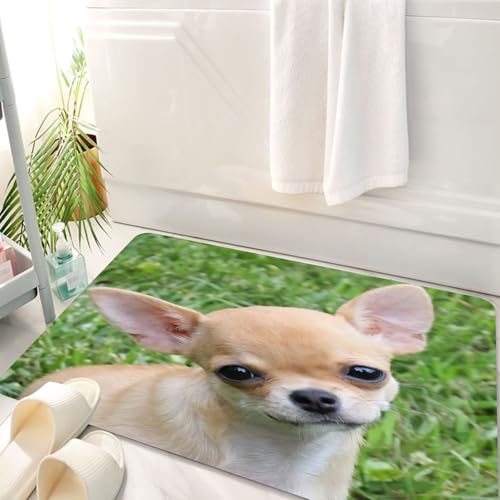 HKPOEQ Badematte Weiche Badteppich rutschfest Badzimmermatte Teppich Badezimmerteppich Duschmatte & Schlafzimmer,Tier, EIN süßer Chihuahua-Welpe starrt auf den üppigen Rasen,50x80 cm HKPOEQ Badematte Weiche Badteppich rutschfest Badzimmermatte Teppich Badezimmerteppich Duschmatte & Schlafzimmer,Tier, EIN süßer Chihuahua-Welpe starrt auf den üppigen Rasen,50x80 cm von HKPOEQ