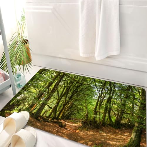 HKPOEQ Badematte Weiche Badteppich rutschfest Badzimmermatte Teppich Badezimmerteppich Duschmatte & Schlafzimmer,Valentinstagsmuster mit Blumen und lebendigen Herzen (78),50x80 cm von HKPOEQ