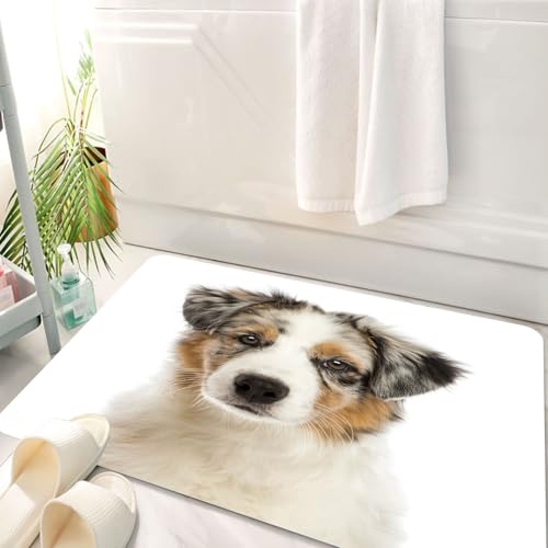 HKPOEQ Badematte Weiche Badteppich rutschfest Badzimmermatte Teppich Badezimmerteppich Duschmatte & Schlafzimmer,Weiß Tan Nahaufnahme Australian Shepherd Welpen Monate EIN Allein Hunde Niedl,50x80 cm HKPOEQ Badematte Weiche Badteppich rutschfest Badzimmermatte Teppich Badezimmerteppich Duschmatte & Schlafzimmer,Weiß Tan Nahaufnahme Australian Shepherd Welpen Monate EIN Allein Hunde Niedl,50x80 cm von HKPOEQ