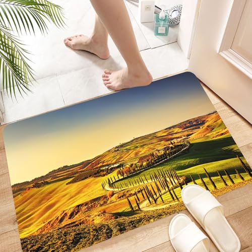 HKPOEQ Super Absorbierende Badezimmerteppich Waschbar Schnelltrocknende Badvorleger Duschvorleger für Badezimmer,Italien, Toskana Crete Senesi ländliche Landschaft Zypressenland Ackerland E,60x100 cm von HKPOEQ
