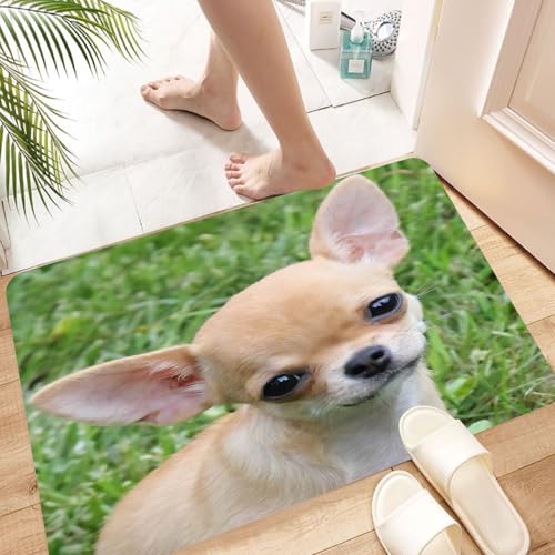 HKPOEQ Super Absorbierende Badezimmerteppich Waschbar Schnelltrocknende Badvorleger Duschvorleger für Badezimmer,Tier, EIN süßer Chihuahua-Welpe starrt auf den üppigen Rasen,60x100 cm von HKPOEQ
