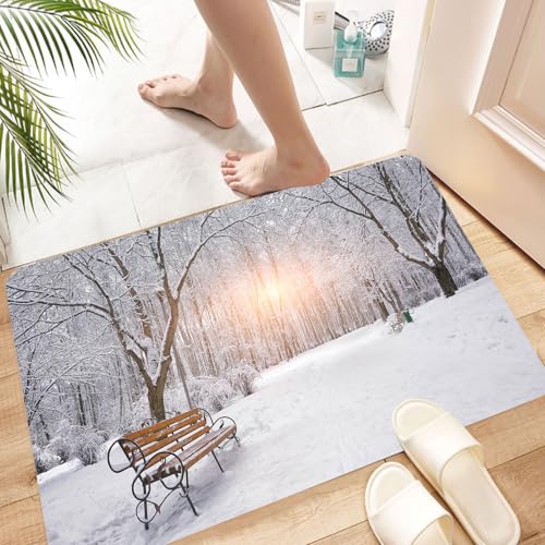 HKPOEQ Super Absorbierende Badezimmerteppich Waschbar Schnelltrocknende Badvorleger Duschvorleger für Badezimmer,Winterpark, schneebedeckte Bäume und Bänke schaffen eine friedliche Szene im,60x100 cm von HKPOEQ