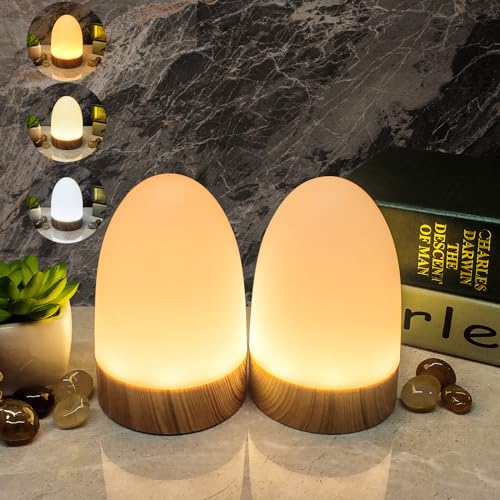 LED Nachttischlampe Dimmbar 2er Set,Tischlampen 12 Farben 4 Modi mit Timing Memory Funktion Wasserdich für Schlafzimmer Wohnzimmer Kinderzimmer Nachtlampe Esszimmer Bar Camping (Eierschale) von HL