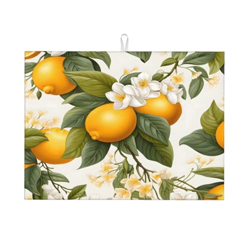 Abtropfmatte mit Obst- und Zitronenmotiv, 18 x 24, saugfähige Abtropfunterlage für Küchenarbeitsplatte und Spüle, Mikrofaser-Abtropfunterlage für Küchenzubehör Abtropfmatte mit Obst- und Zitronenmotiv, 18 x 24, saugfähige Abtropfunterlage für Küchenarbeitsplatte und Spüle, Mikrofaser-Abtropfunterlage für Küchenzubehör von HLBSDM