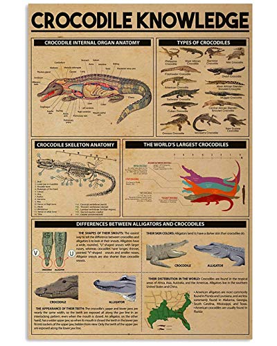 Crocodile Knowledge Posters Metallschilder Crocodile Knowledge Posters Metallschilder Retro-Plakette Farm Decor Zimmer Club Garage Wanddekoration 8x12 Zoll von HLBSDM