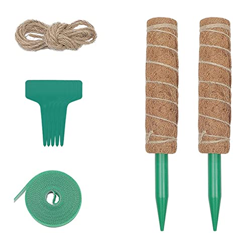 2 StüCk Pflanzstab Kokos Moosstab Rankhilfe, Einziehbar Pflanzenstab Monstera Kokosstab Mit Kabelbinder Und Jute Seil FüR Kletterpflanzen (50cm) von HLJS