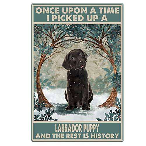 Metall-Blechschild mit Aufschrift "Chocolate Labrador Puppy Once Upon A Time", Schokoladen-Labrador-Liebhaber, lustige Hunde-Wandkunst, Schokoladen-Labrador-Wanddekoration, Blechschild für Badezimmer, Metall-Blechschild mit Aufschrift "Chocolate Labrador Puppy Once Upon A Time", Schokoladen-Labrador-Liebhaber, lustige Hunde-Wandkunst, Schokoladen-Labrador-Wanddekoration, Blechschild für Badezimmer, von HLLHCKGH