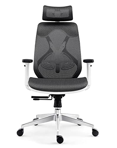 Ergonomischer Bürostuhlstuhl, Bürostuhl High Back Computer Recliner Stuhl mit atmungsaktivem Mesh verstellbare Lendenwirbelstütze für Studienbüro Meeting Aufgabenstuhl (+grau) Aqiong von HLRTBCN