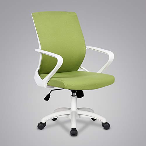 HLRTBCN Ergonomischer Bürostuhl, ergonomischer Drehstuhl mit mittlerer Rückenlehne, verstellbarer Stoffnetz-Bürostuhl, Computer-Arbeitsstuhl mit Komfort, atmungsaktiver Lendenwirbelstütze (Farbe: C von HLRTBCN