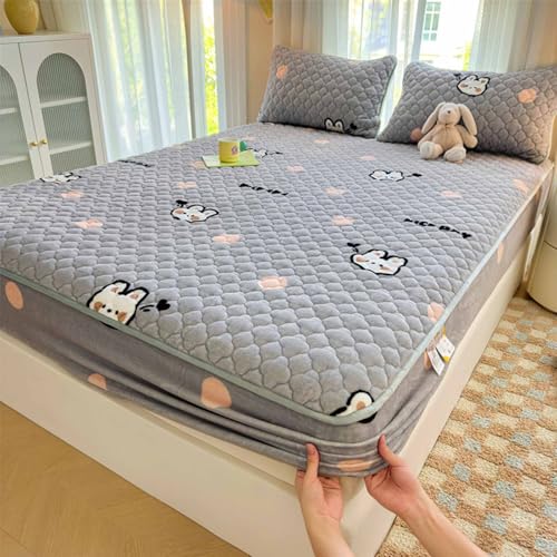 HLTQL SpannbetttüCher 180x200 Flauschige PlüSch Spannbettlaken Milchsamt Touch Matratzenschoner Warm Kuschelig Superweich(#1,Pillowcase X2) von HLTQL